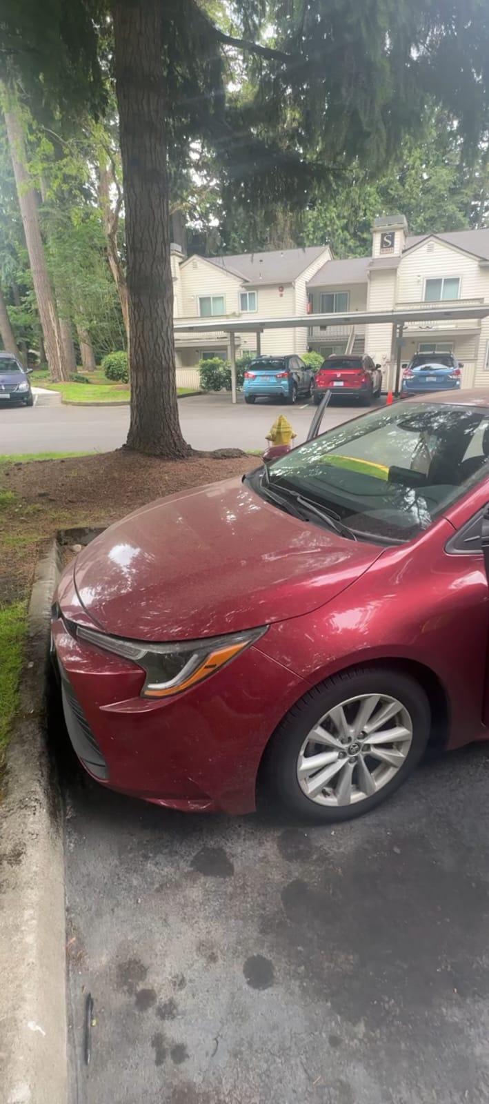 Car before professional detailing – dirty, dull paint