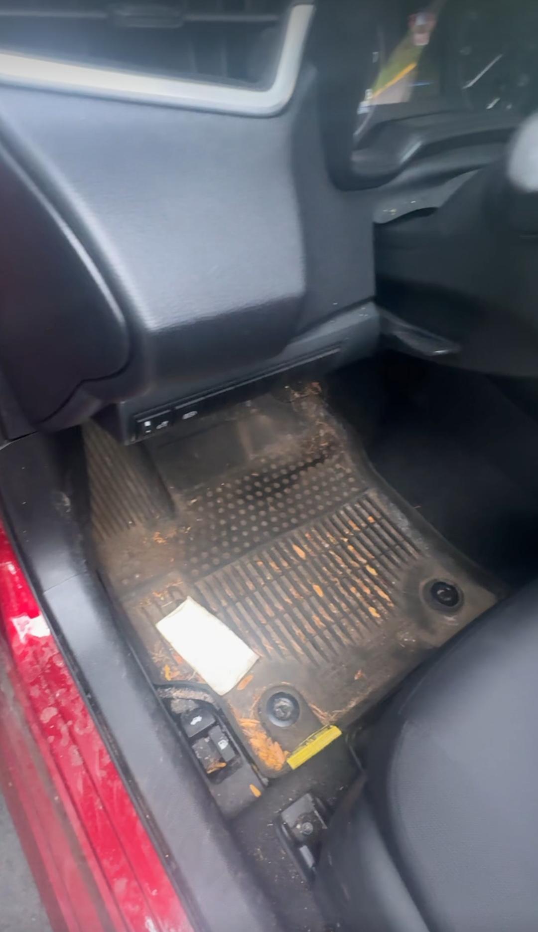Car interior before detailing