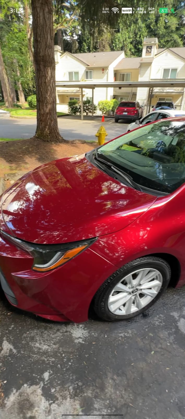 Car after professional detailing – gleaming mirror finish